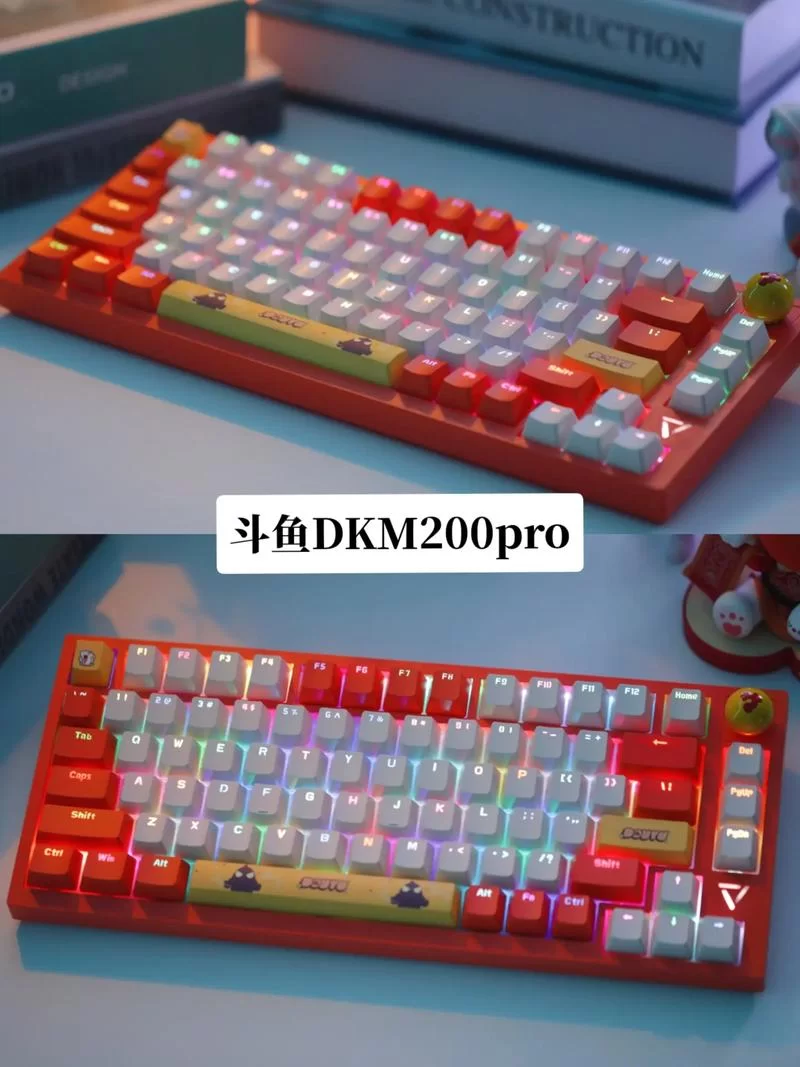 斗鱼溪子最新版本有哪些新功能体验分享