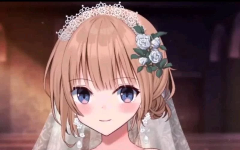 新婚妻子梅古下载地址分享 最新资源一键获取