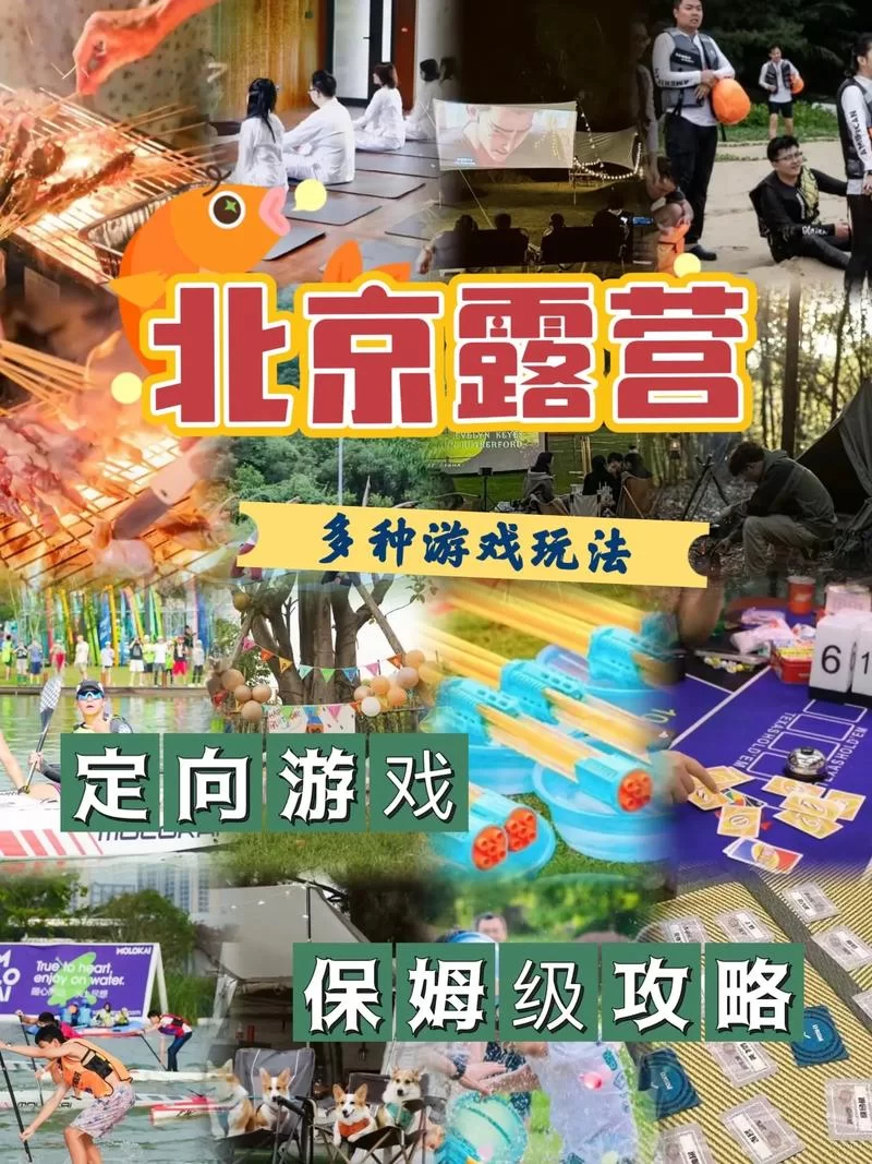新邻居游戏官网攻略大全新手必看玩法解析