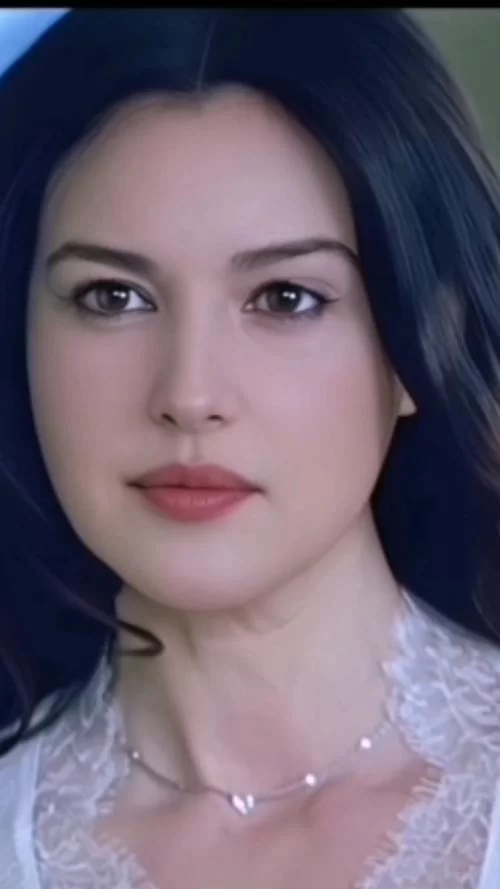 时尚女王莫妮卡第一季完结更新地址在线观看