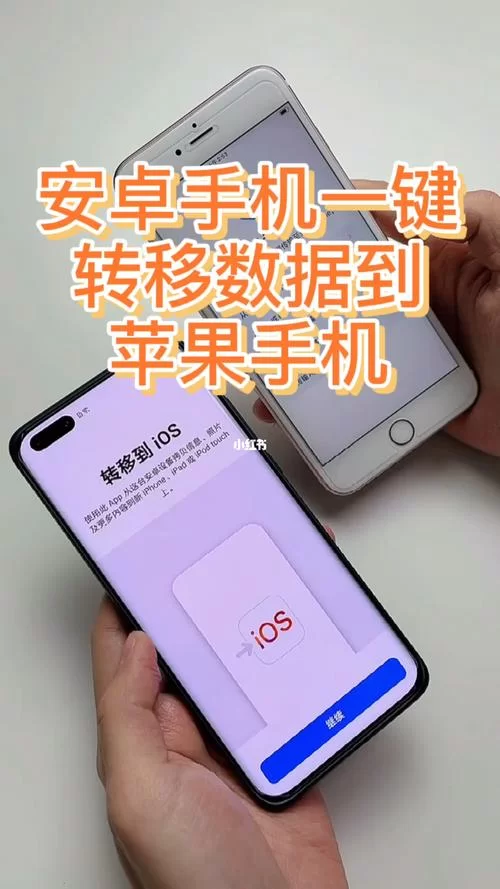 月下40部下载安卓教程 手把手教你操作