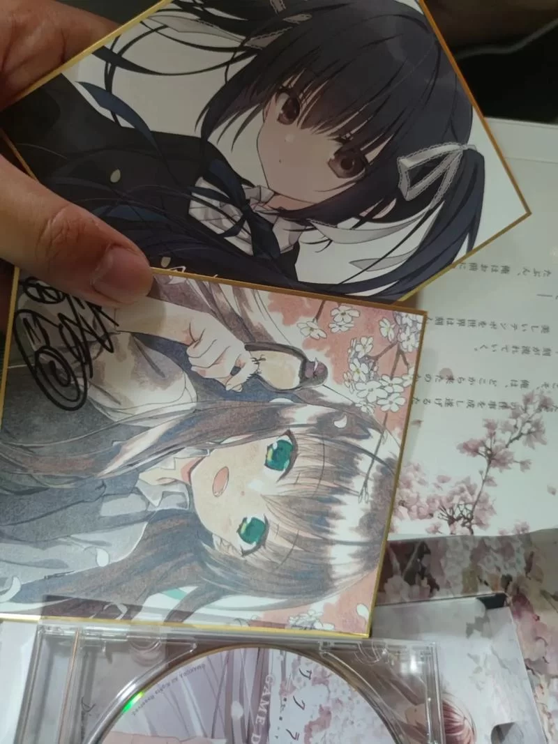 樱之刻安卓汉化版评测 手机玩galgame体验如何