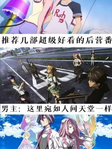 欢迎来到后宫岛最新版本特色内容抢先看