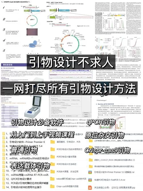 欲望之戒汉化版下载常见问题 解决方法一网打尽