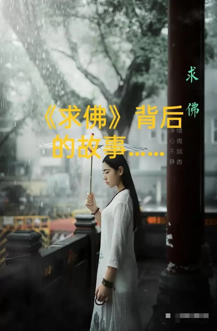 欲望岛最新剧情解析 故事背后的真相令人震惊