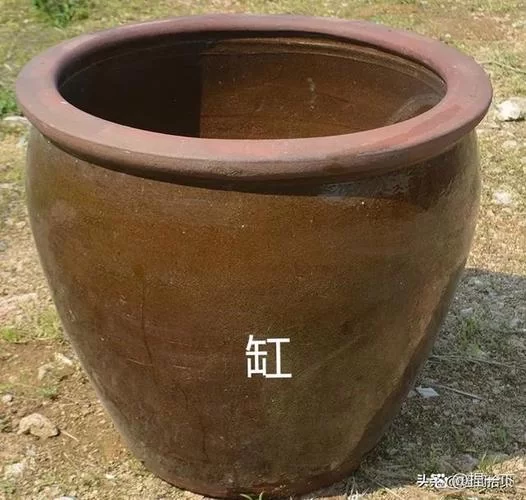 欲望岛最新剧情解析 故事背后的真相令人震惊