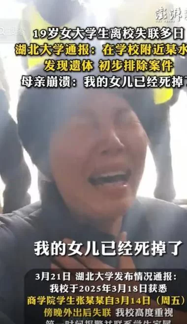 母三人下载地址怎么找 最新资源获取教程