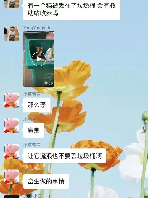 母三人下载地址怎么找 最新资源获取教程