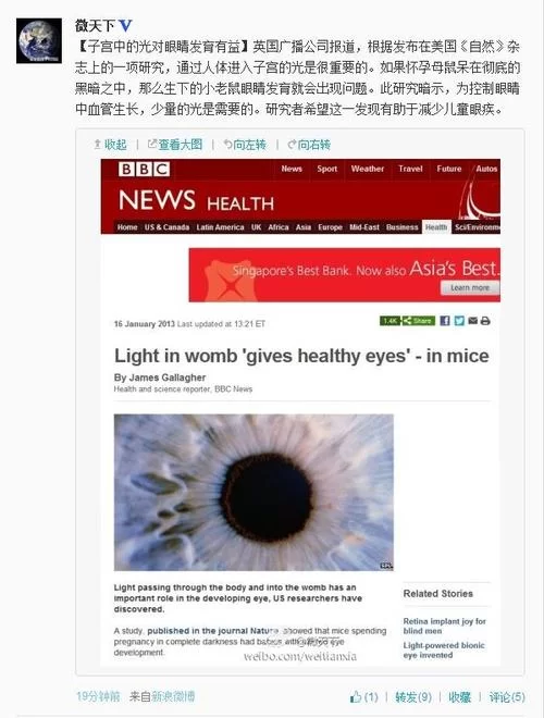 母亲与地牢版本大全所有隐藏内容揭秘