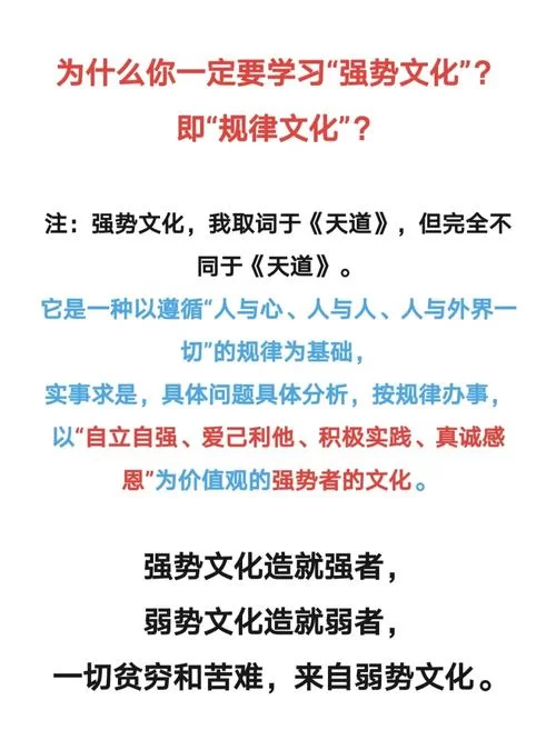 洞悉游戏介绍全攻略 带你玩转游戏核心内容