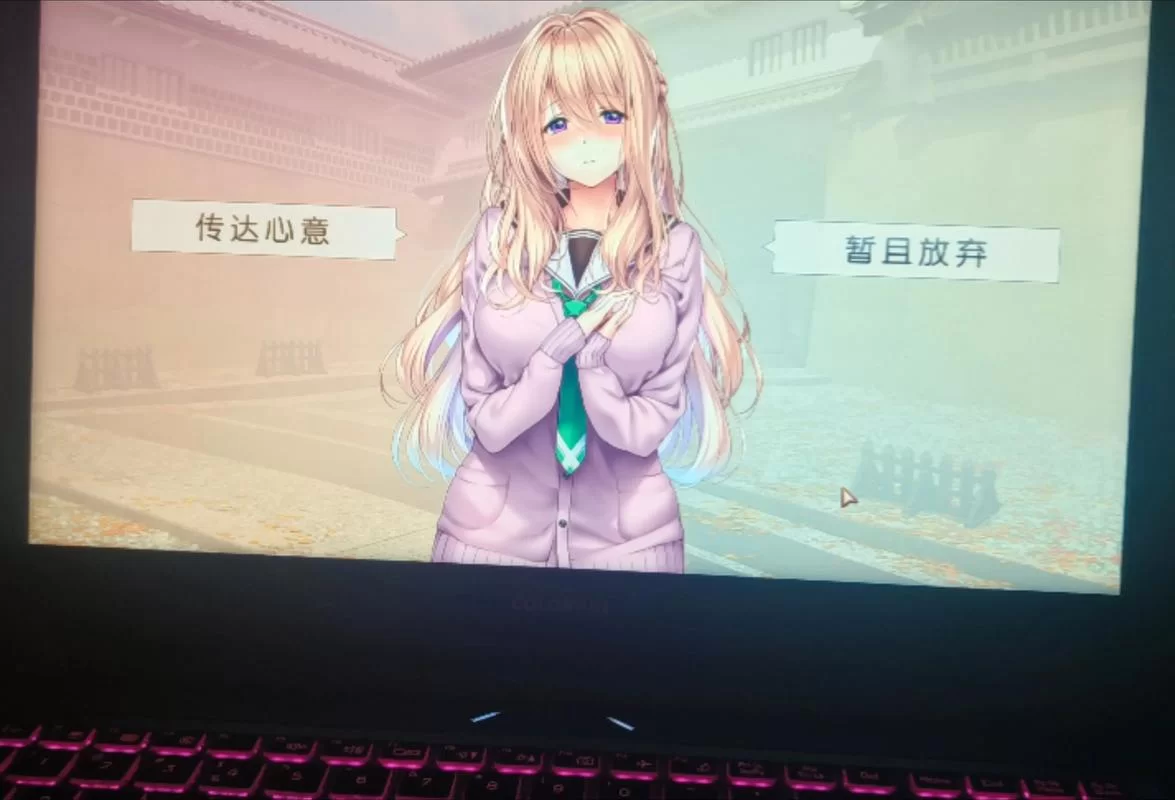 海豹社30部合集游戏攻略分享 轻松解锁全结局