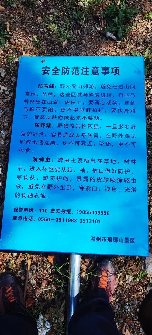 淫荡学院官网有病毒吗 安全访问注意事项