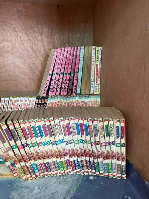 淫魔与天使的回忆安卓下载 最新汉化版免费获取