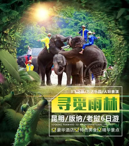 激情公园如何下载 常见问题解决方法大全