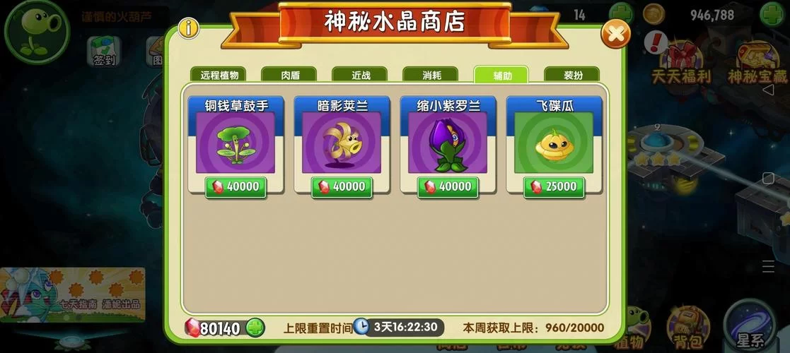 热辣可爱紫罗兰游戏下载 新手必看玩法指南