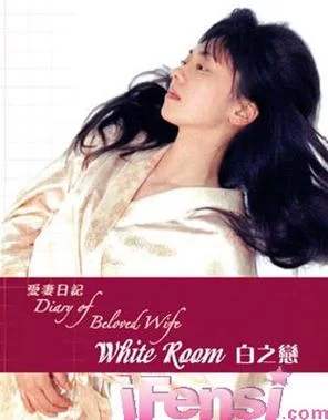 爱妻日记最新版本是多少 现在用哪个版本最好