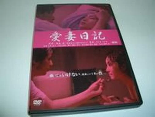 爱妻日记最新版本是多少 现在用哪个版本最好
