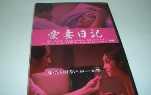 爱妻日记最新版本是多少 现在用哪个版本最好