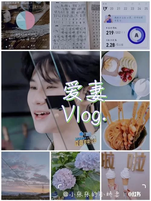 爱妻日记最新版本是多少 现在用哪个版本最好