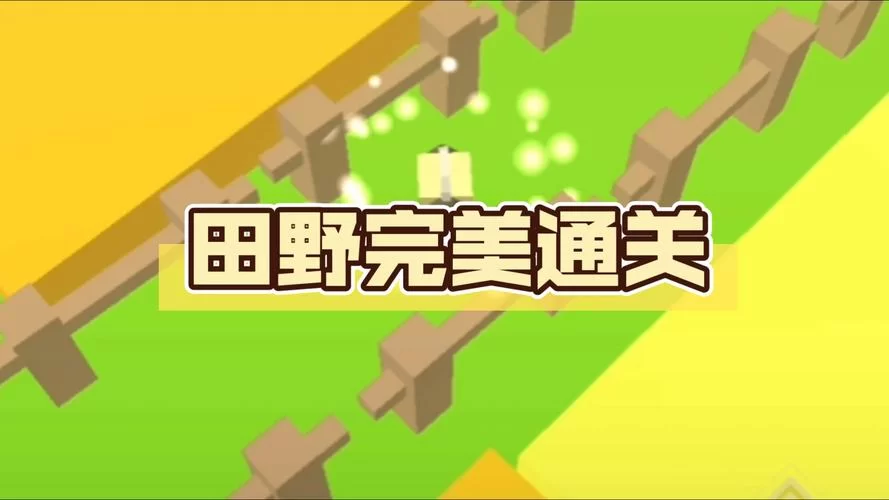 爱妻日记游戏攻略心得 教你如何完美通关