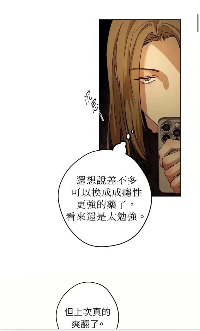 爱欲之都V0.195最新版本常见问题解答