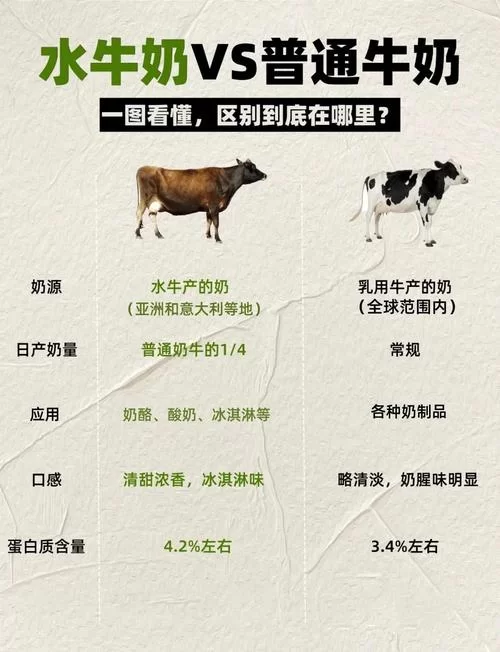 牛奶触觉最新版本对比 新旧款区别一目了然