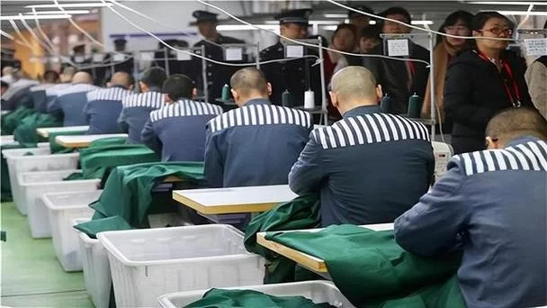 犯罪吸引力最新趋势年轻人为何对犯罪感兴趣