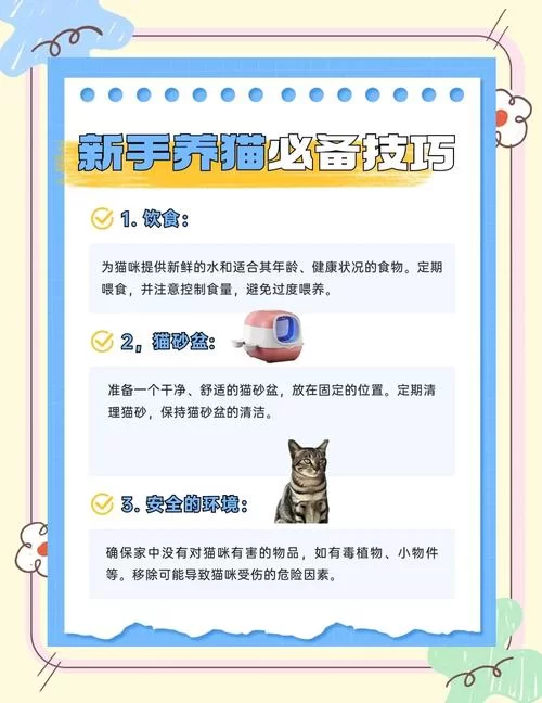 猫研社安卓版下载教程 手把手教你玩转猫咪收集