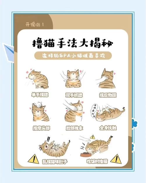 猫研社安卓版下载教程 手把手教你玩转猫咪收集