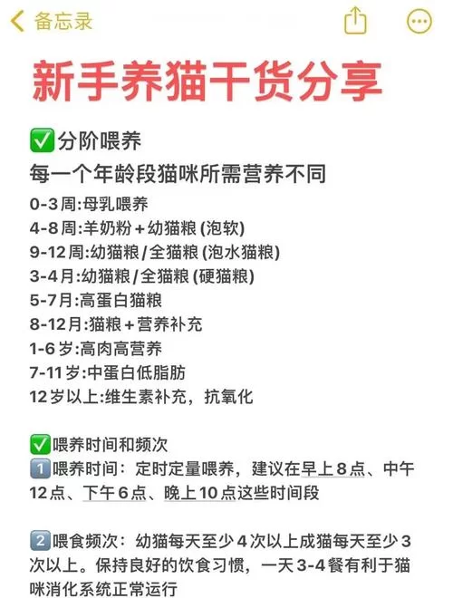 猫研社最新指南 如何科学喂养你的爱猫全攻略