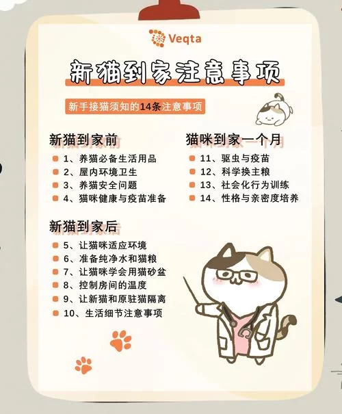 猫研社最新版本是多少 最新版更新内容一览