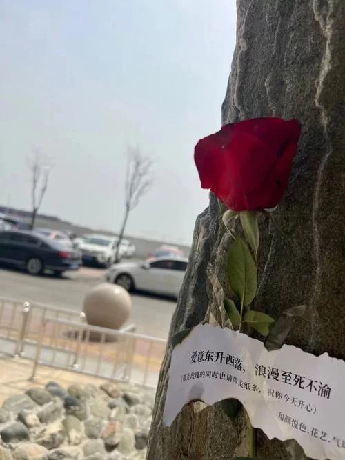 玫瑰行动最新情报来了这次行动将影响所有人