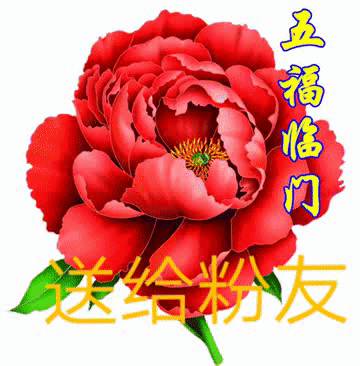 甜蜜侍奉官网注册有礼新人福利大放送