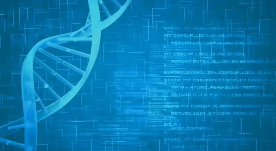 生命的回报最新研究 科学家揭示长寿的三大秘诀