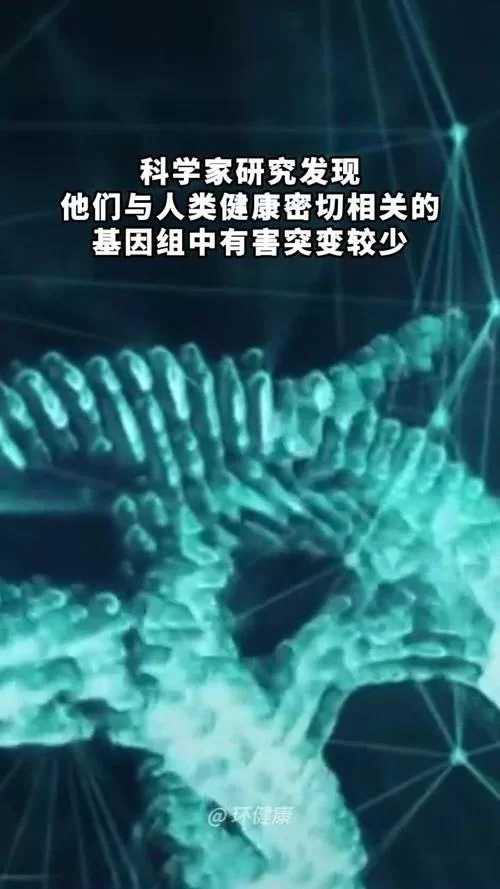 生命的回报最新研究 科学家揭示长寿的三大秘诀