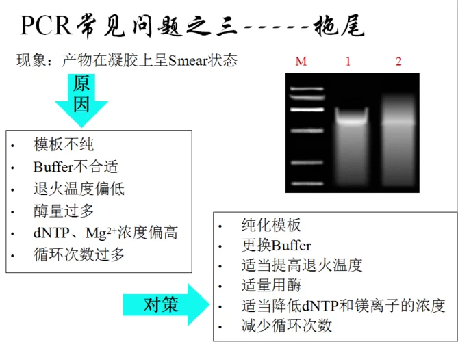 生命竞赛下载问题解决 常见错误及修复方法