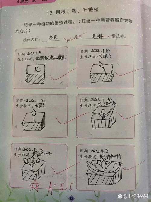 生殖活動学院游戏攻略隐藏任务解锁方法