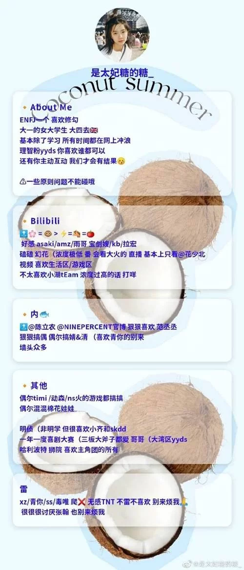 电子羊版本大全 最新版本功能全解析