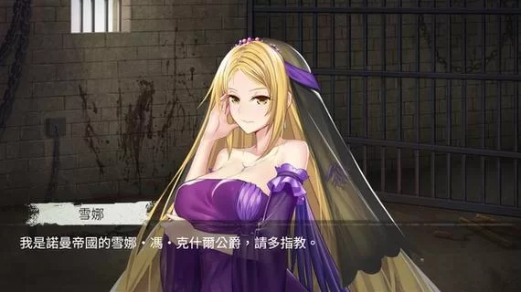 监禁女王游戏下载常见问题 解决方法大全