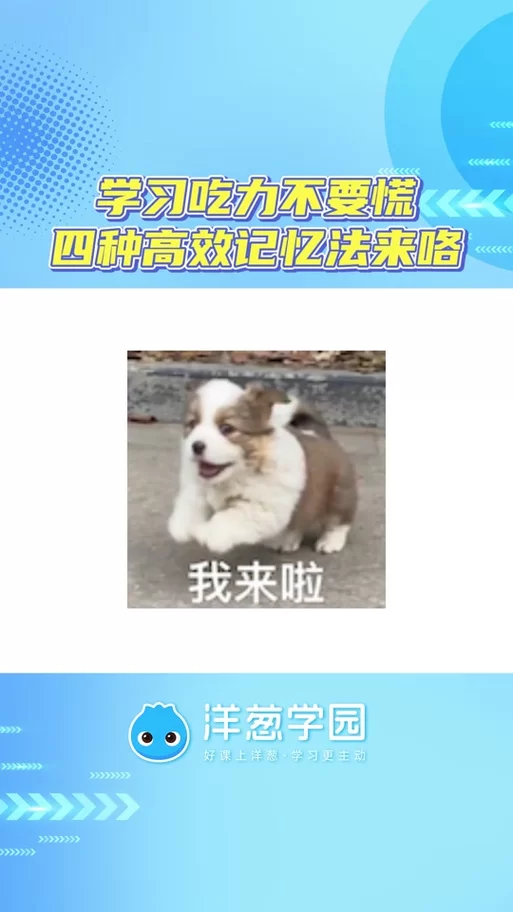 盗摄学园更新地址更换了最新访问方法教学