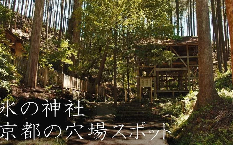 神社的大穴下载地址