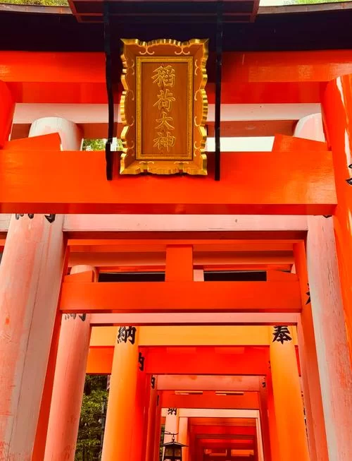 神社的大穴下载地址