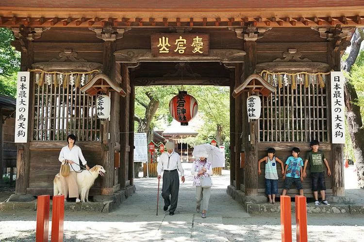 神社的大穴下载攻略 手把手教你操作