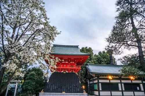 神社的大穴下载攻略 手把手教你操作