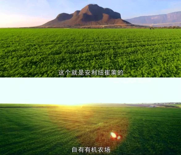 精灵的性爱农场更新地址最新发布快来围观