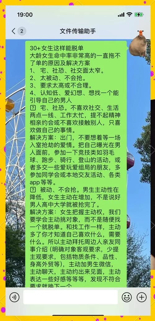 純情女攻略计划最新版本实战指南 告别单身就这么简单