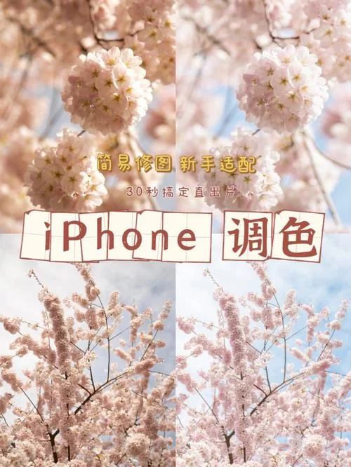 红樱花馆下载地址怎么找 简单三步轻松搞定