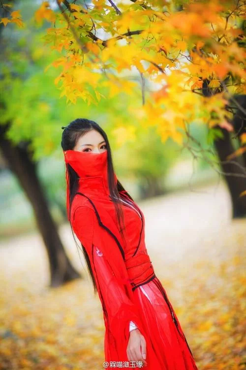 红色面纱汉化版最新更新内容盘点 玩家必看指南