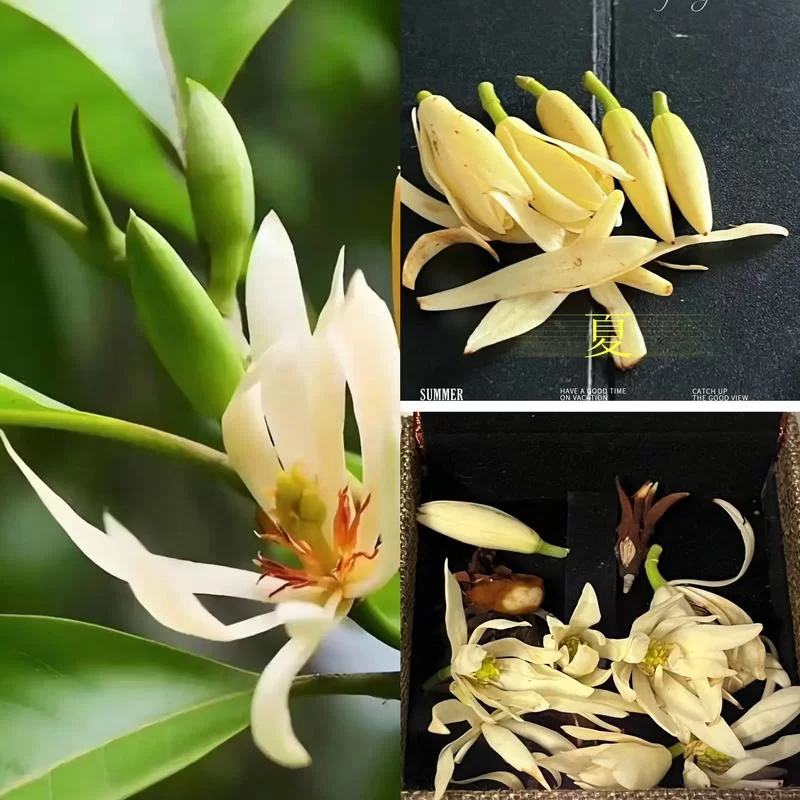 纯洁的爱官方网站分享最感人的爱情故事