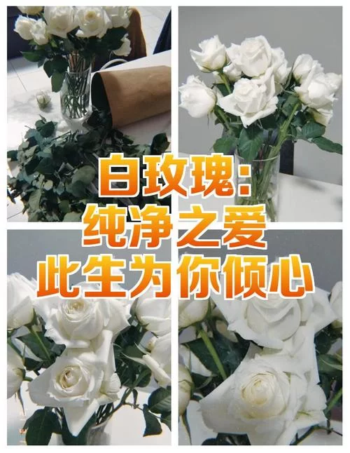 纯洁的爱最新定义 现代人还能拥有纯粹感情吗